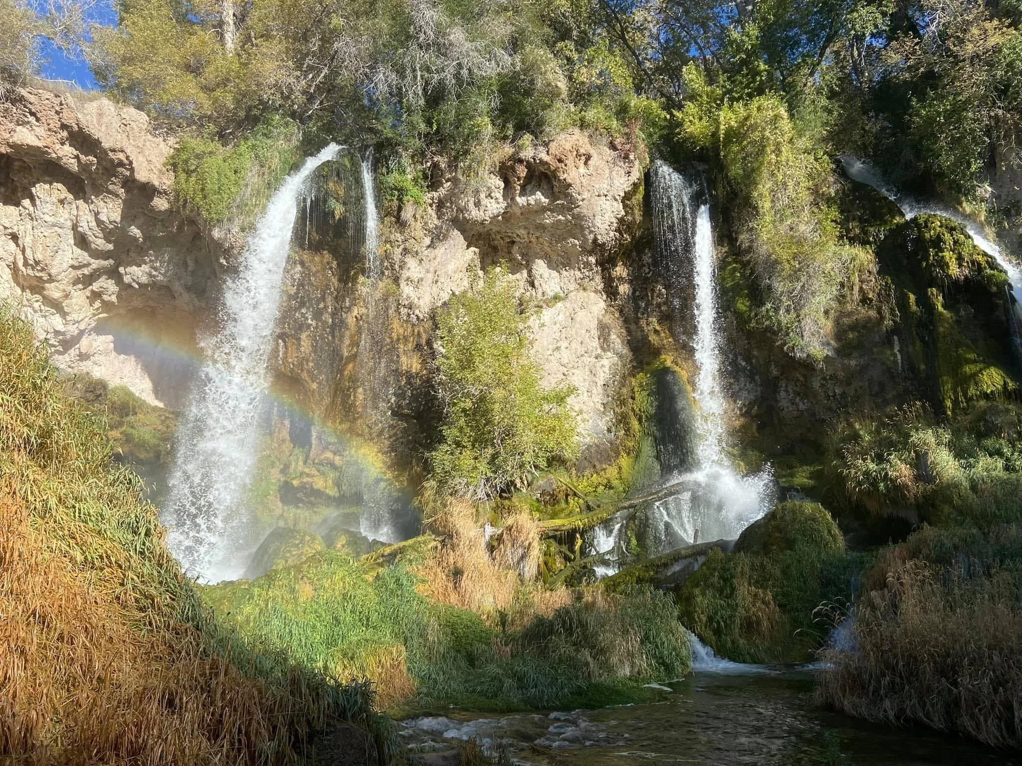 ✨Queen Of Light 🦋